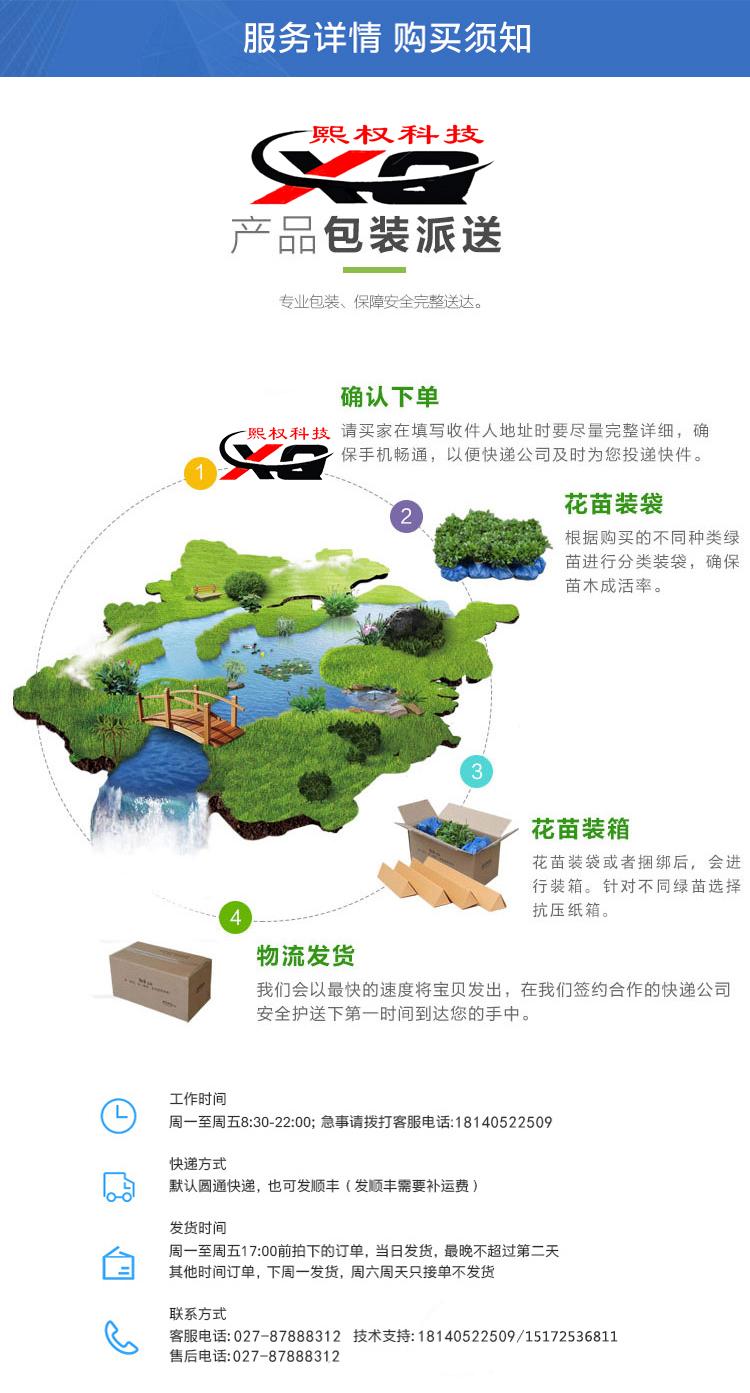 綠植4.jpg